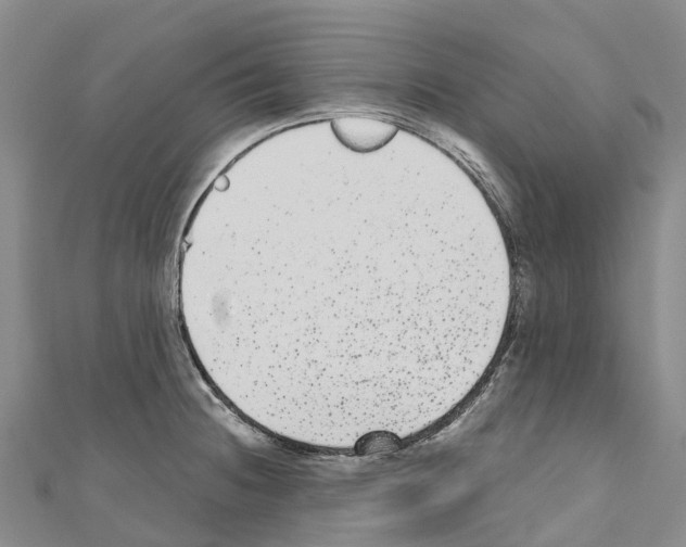 X0000110721236200907241159