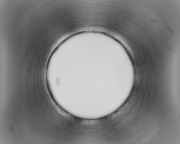 X0000110721237200907241159