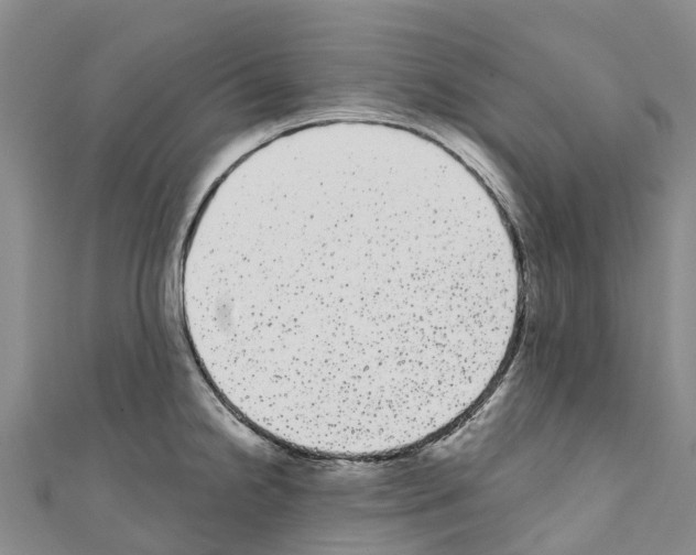 X0000110721238200907241159