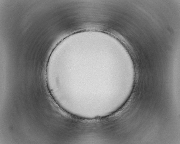 X0000110721240200907241200