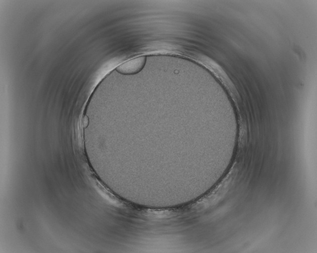 X0000110721242200907241200