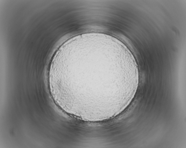 X0000110721243200907241200