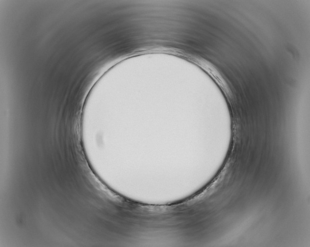 X0000110721244200907241200