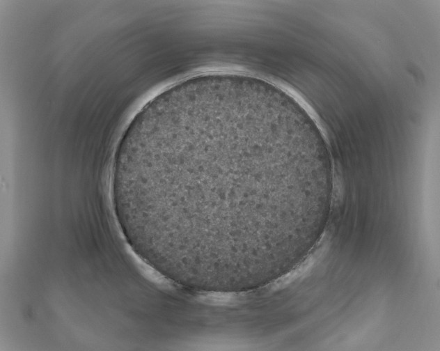 X0000110721245200907241200