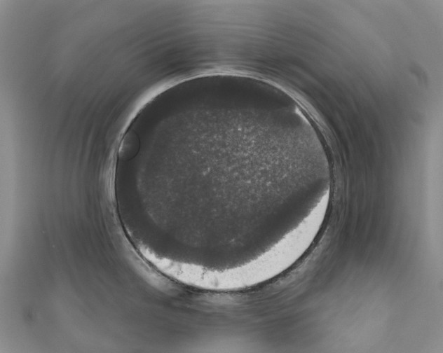 X0000110721246200907241200