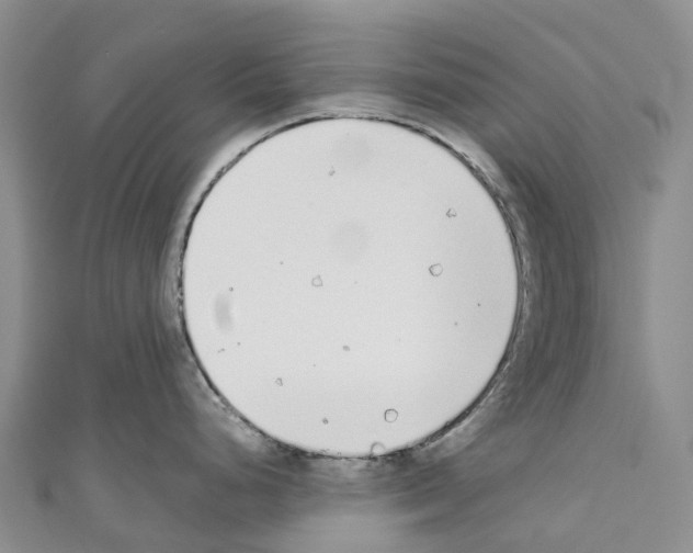 X0000110721248200907241200