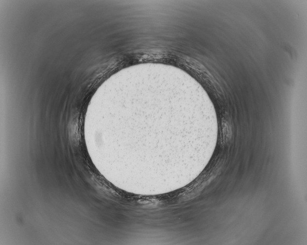 X0000110721250200907241159