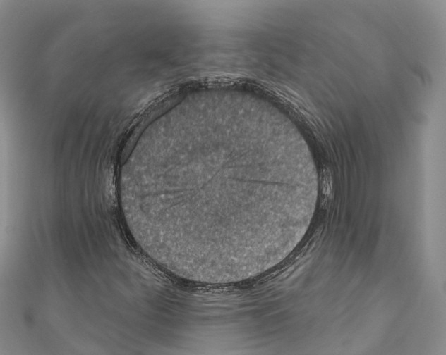 X0000110721252200907241159