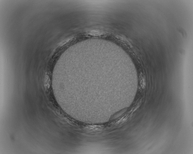 X0000110721253200907241159