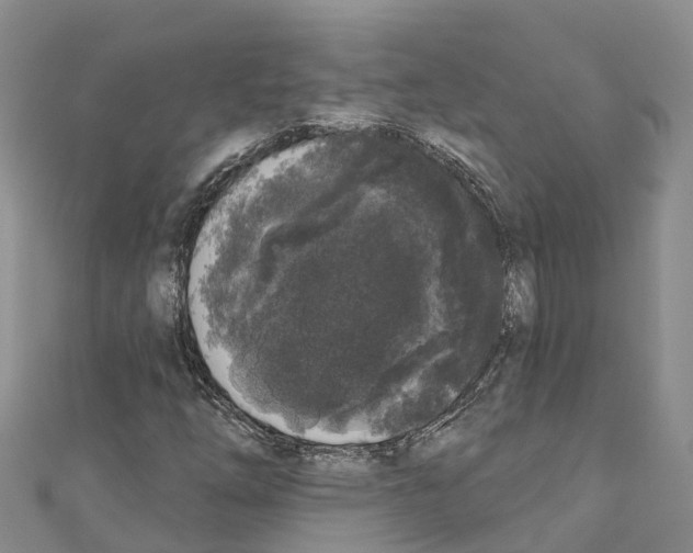 X0000110721254200907241159