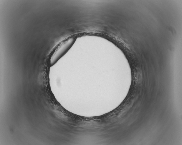 X0000110721256200907241159