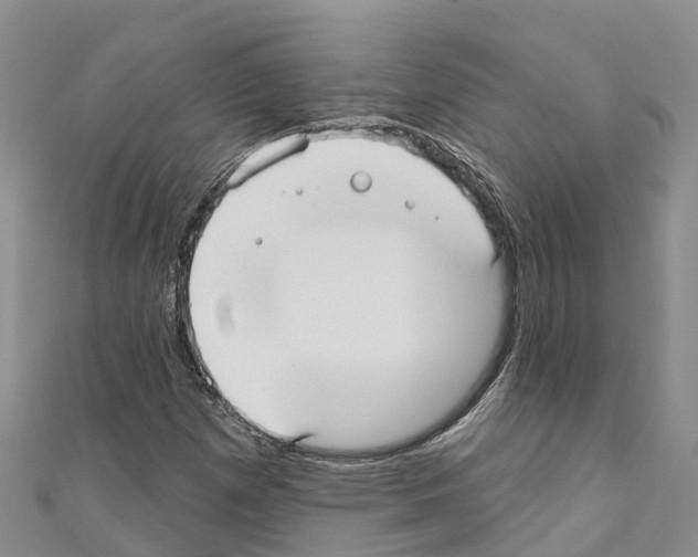 X0000110721257200907241159