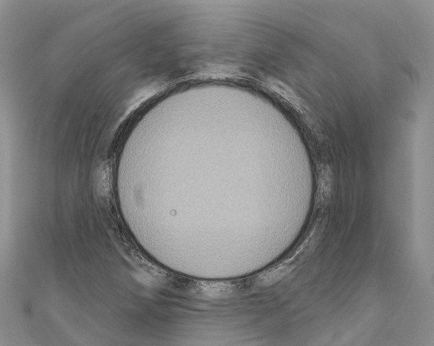 X0000110721258200907241159