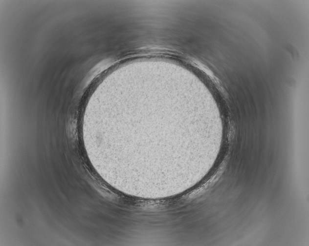 X0000110721259200907241159