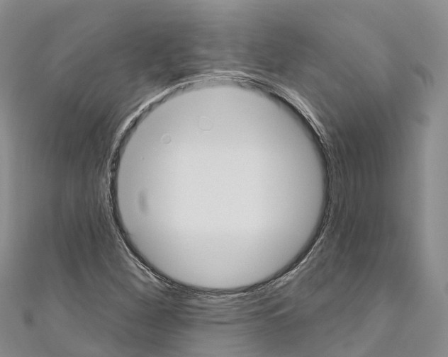 X0000110721260200907241159