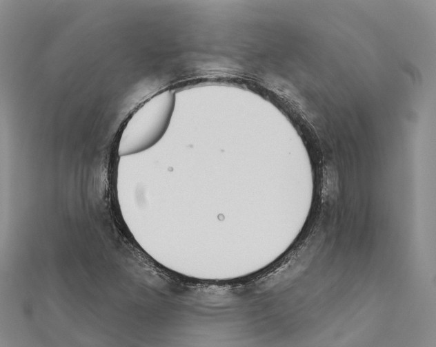 X0000110721261200907241159