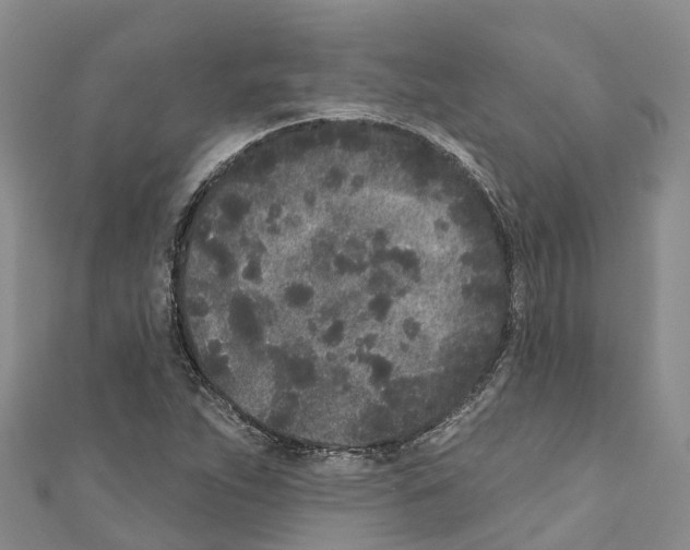 X0000110721263200907241159