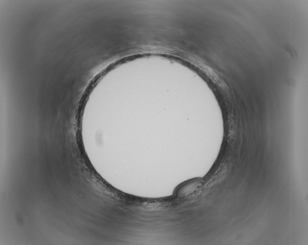 X0000110721264200907241159