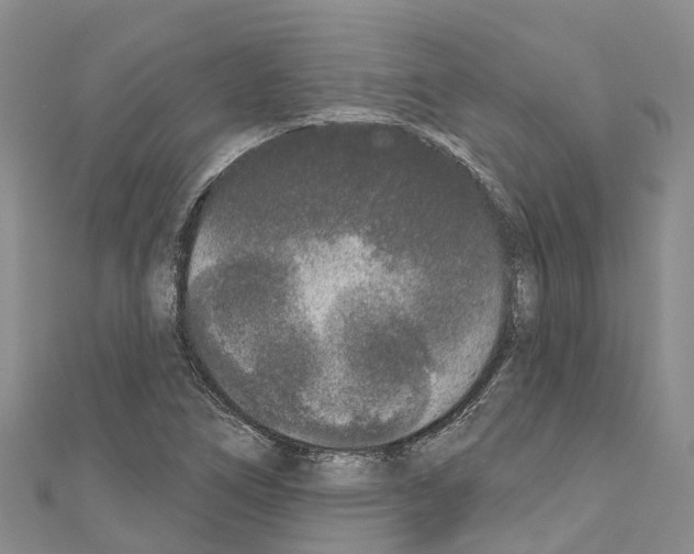 X0000110721266200907241159