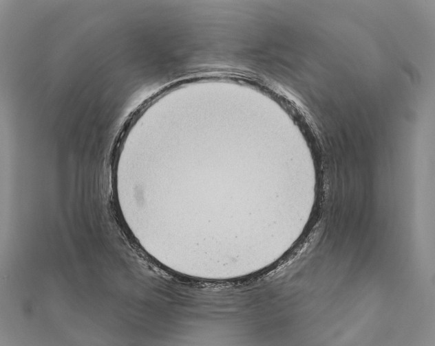 X0000110721267200907241159