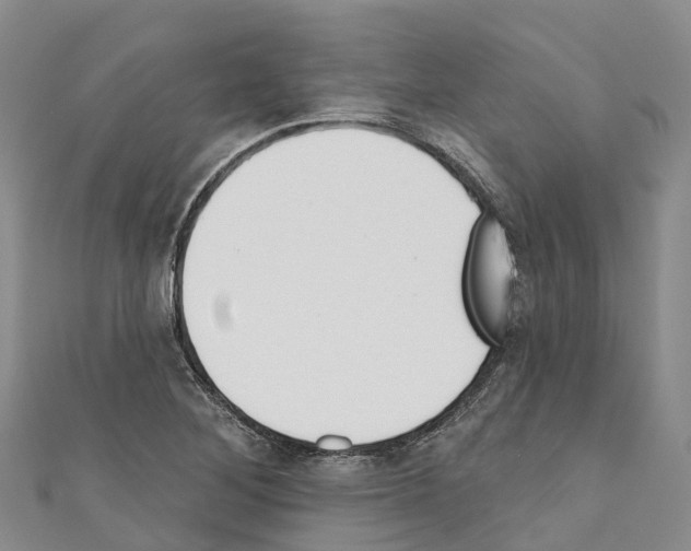 X0000110721268200907241159