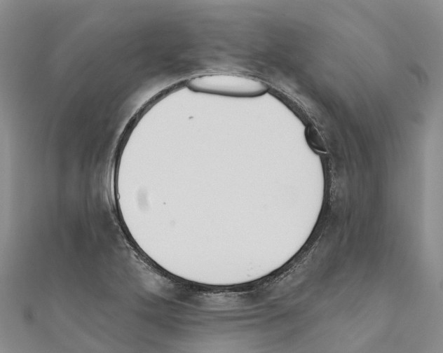 X0000110721272200907241159