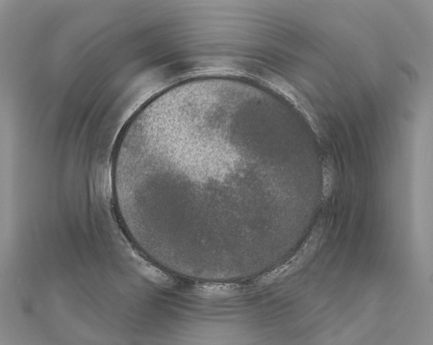 X0000110721274200907241159