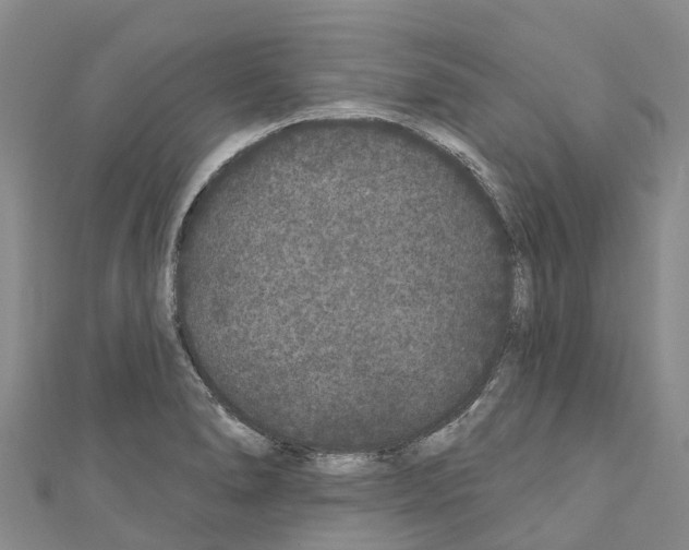 X0000110721278200907241159