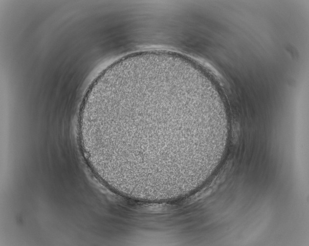 X0000110721279200907241159