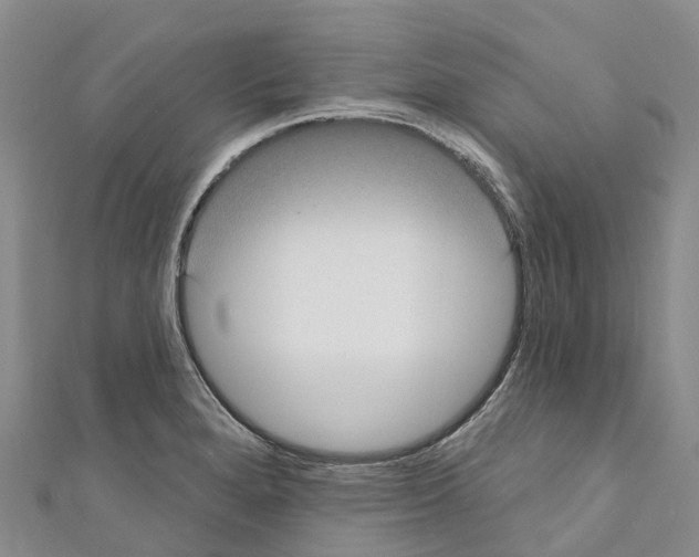 X0000110721280200907241159