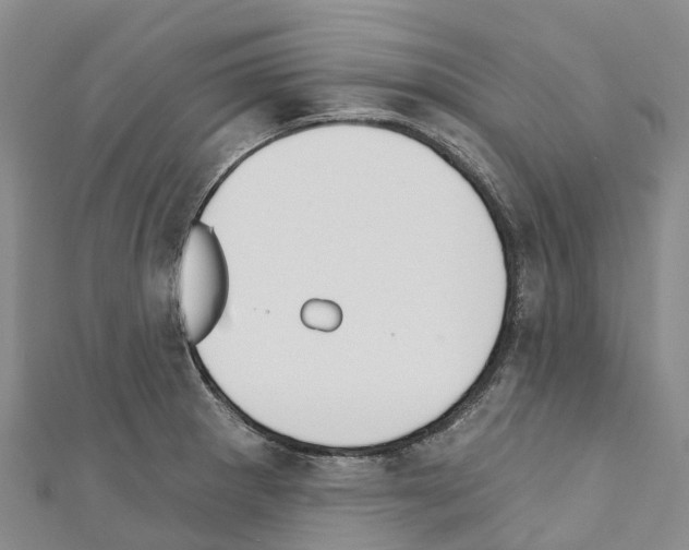 X0000110721281200907241159