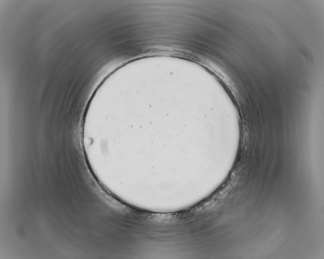 X0000110721283200907241159