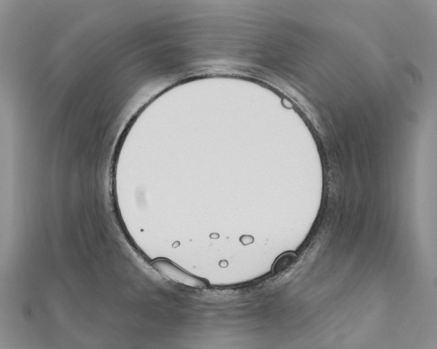 X0000110721285200907241159