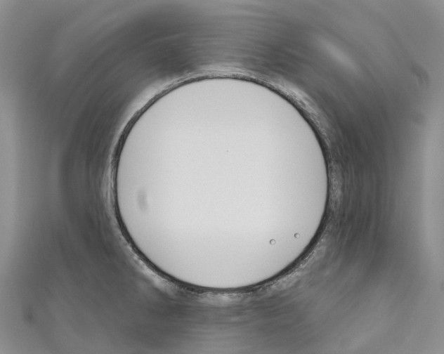 X0000110721286200907241159