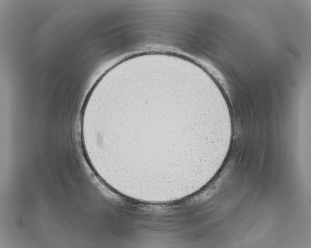 X0000110721287200907241159