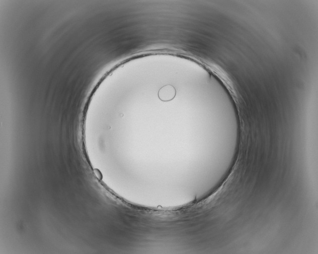 X0000110721288200907241159