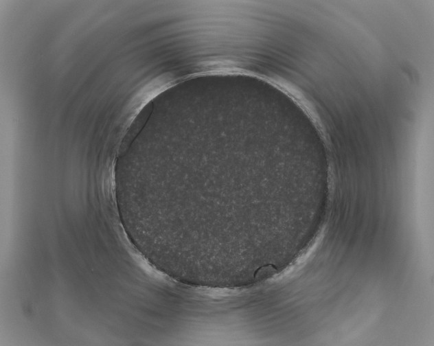 X0000110721289200907241158