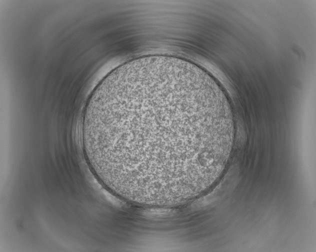 X0000110721290200907241158