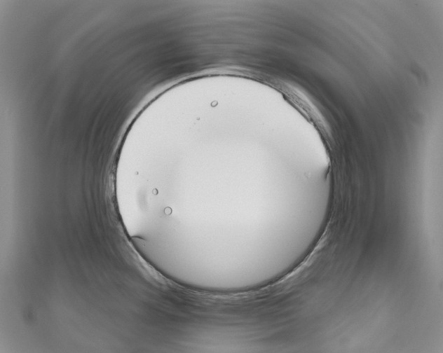 X0000110721292200907241158