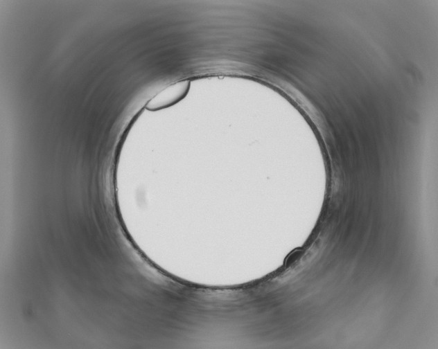 X0000110721293200907241158