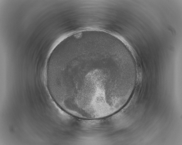 X0000110721294200907241158