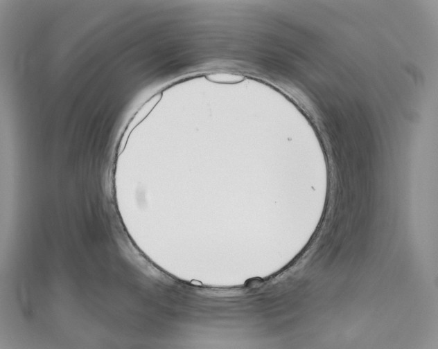 X0000110721296200907241158