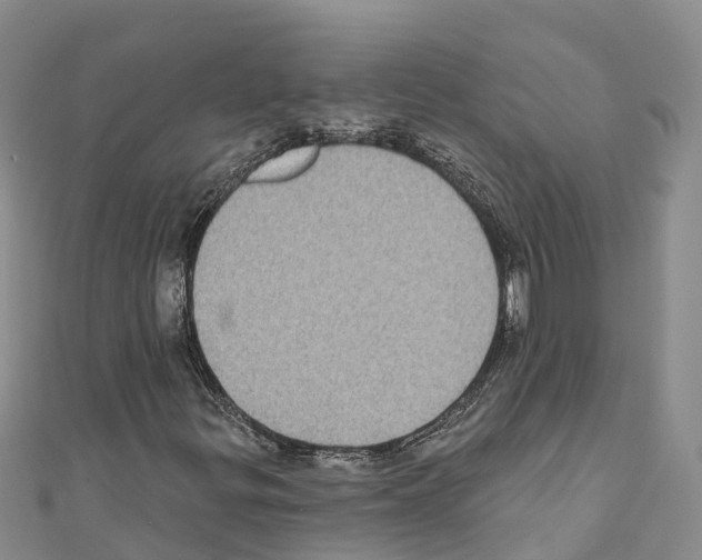 X0000110721299200907241158