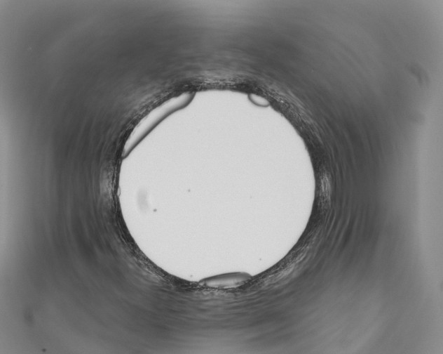 X0000110721300200907241158