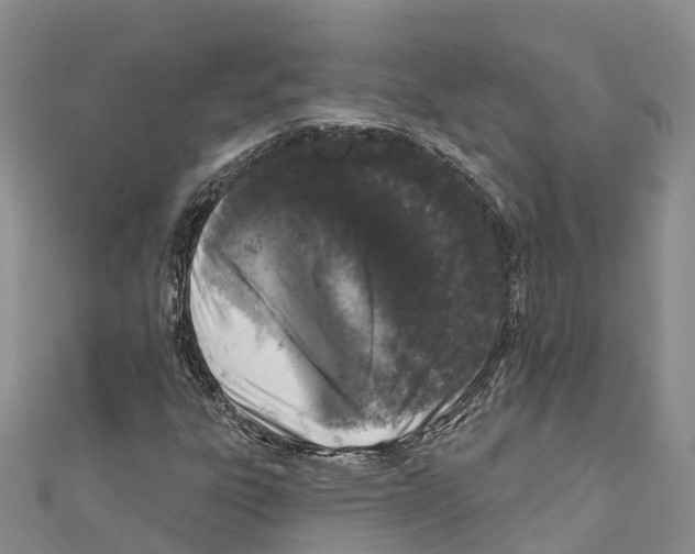 X0000110721303200907241158