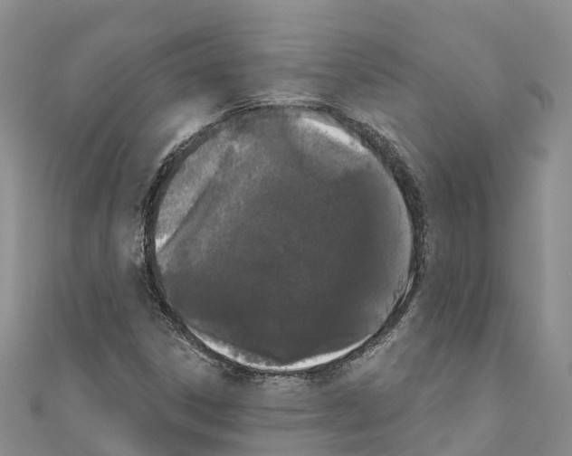 X0000110721306200907241158