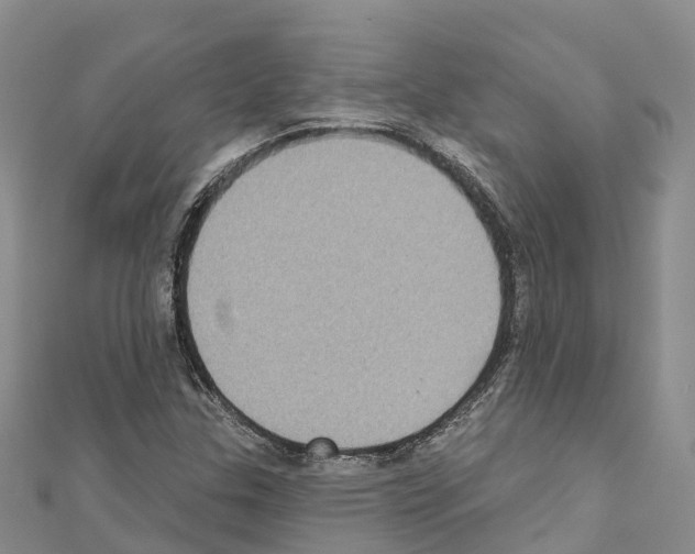 X0000110721307200907241158