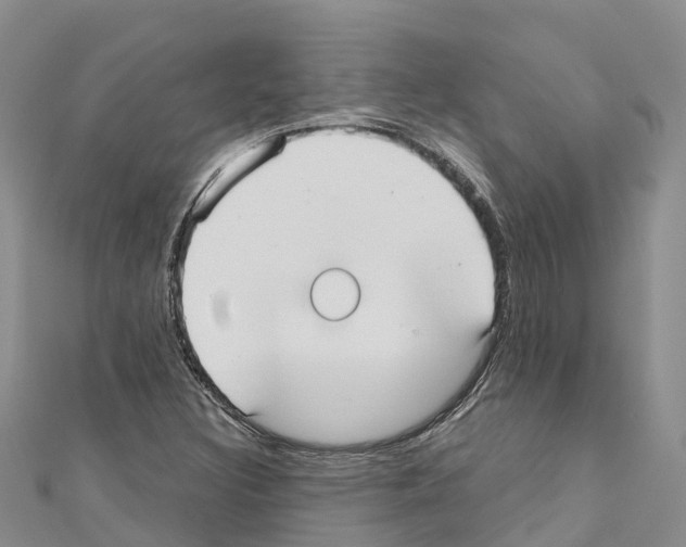 X0000110721308200907241158