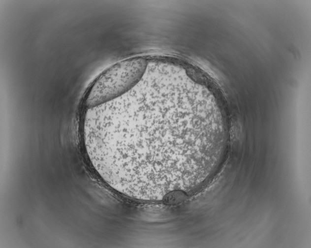 X0000110721310200907241158