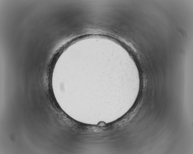 X0000110721311200907241158